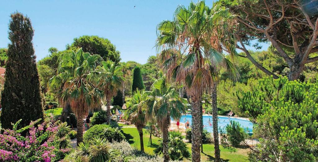 La Badine 5P Plage Piscine Clim Jacuzzi Parc Luxuriant Hyères Exterior foto